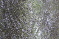 St Newlyn East fibreglass roof work